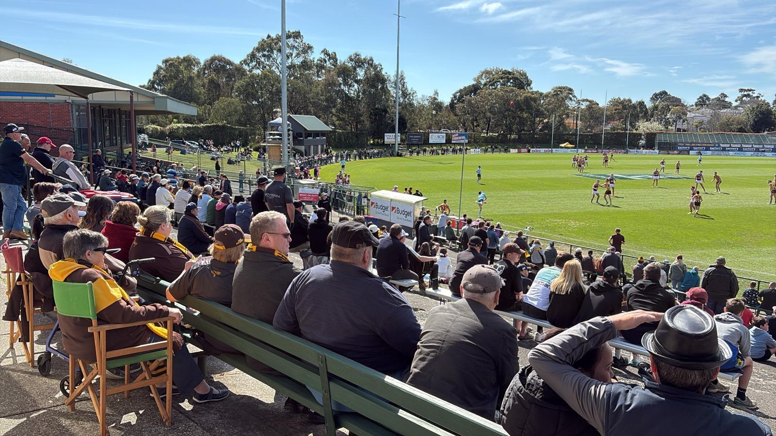 VFL fans on the terraces on a sunny afternoon