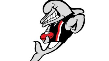 Frankston Football Club