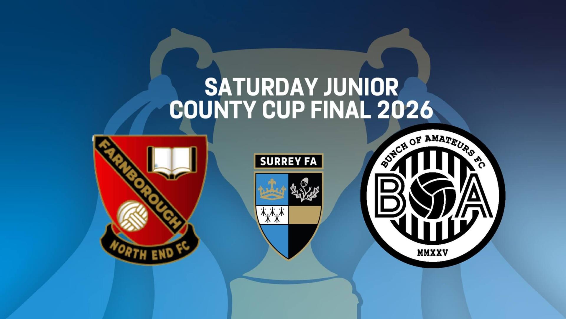 Saturday Junior Cup Final - Farnborough North End -v- BoA  