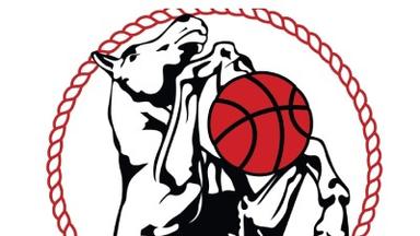 Maitland Mustangs Maitland Mustangs