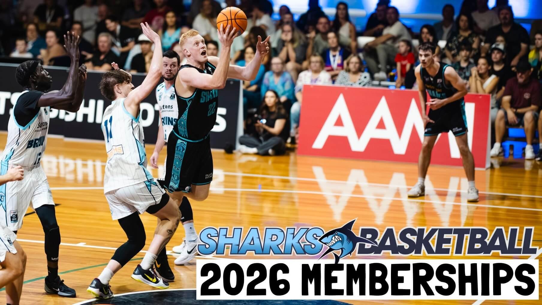 2026 Sharks Basketball Membership 2026 Sharks Basketball Membership