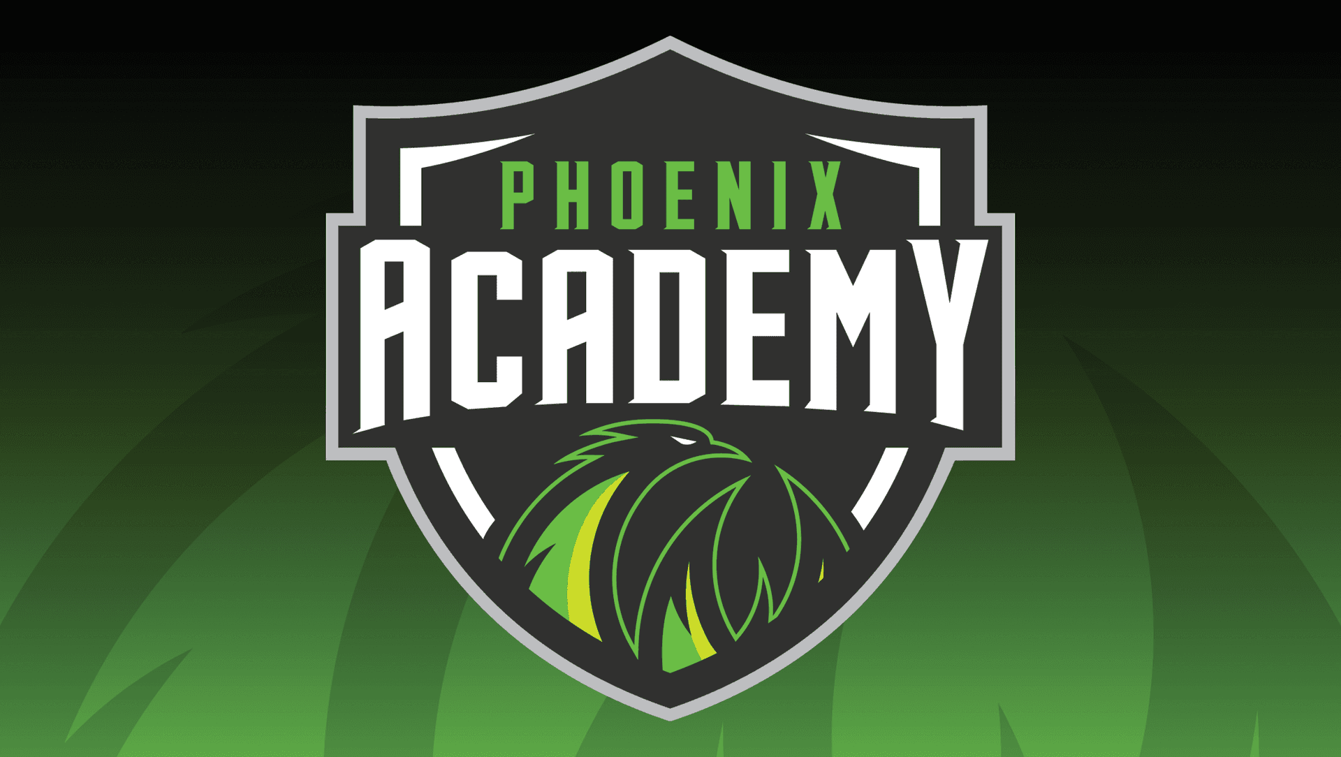 Phoenix Academy Tryouts - U12s & U14s - Term 2 Phoenix Academy Tryouts - U12s & U14s - Term 2