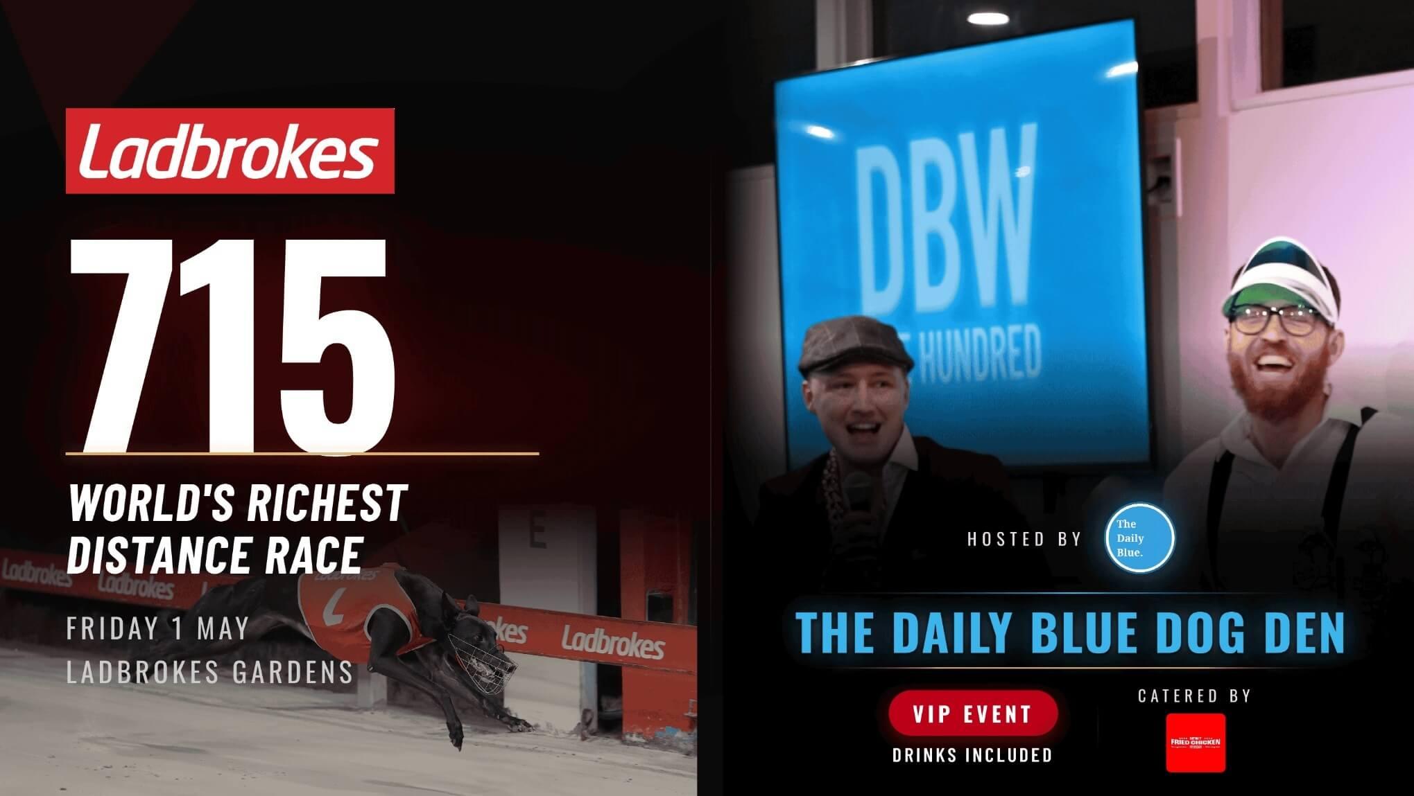 Greyhound Racing New South Wales