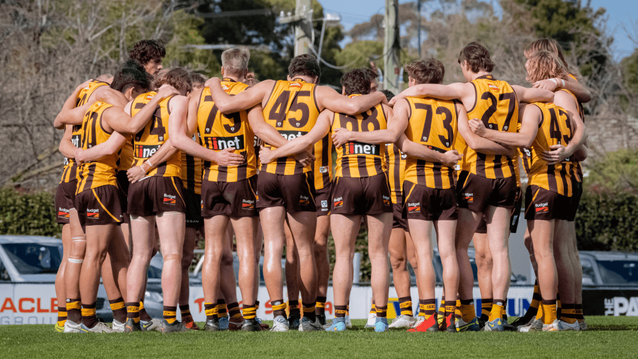 Box Hill Hawks
